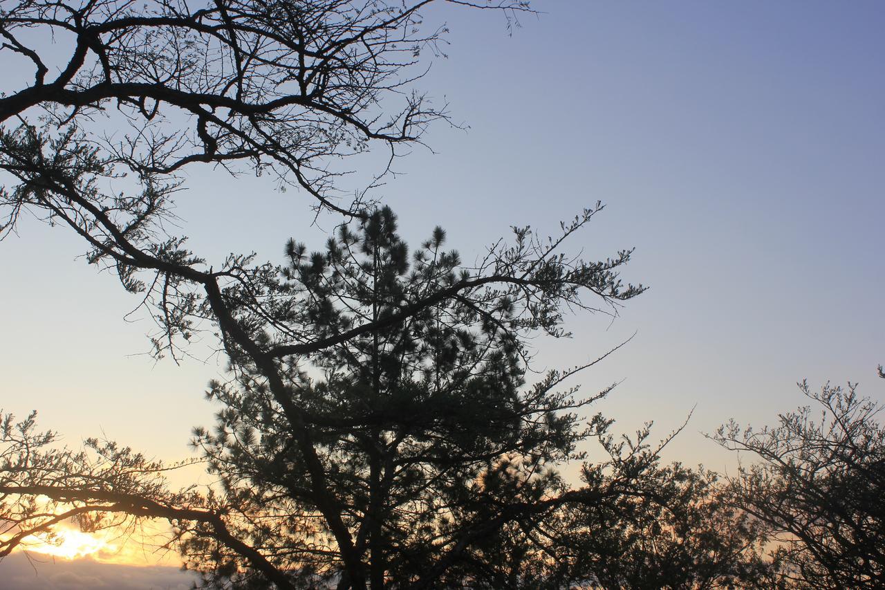 Acacia Bush Lodge Pietermaritzburg Eksteriør bilde